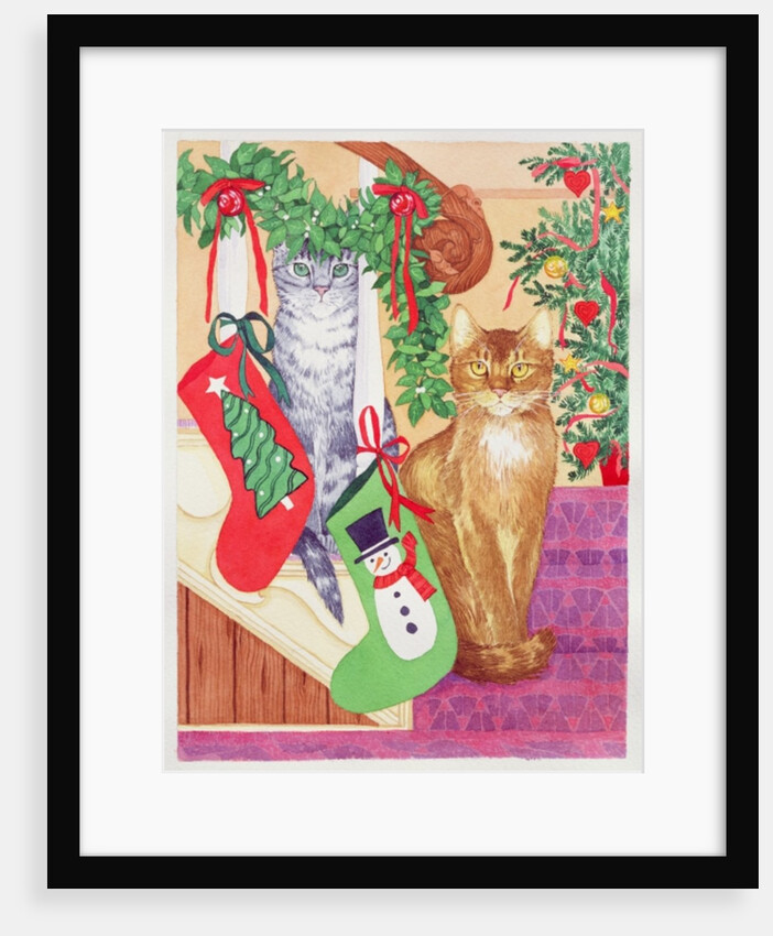 Cats on the stairs by Suzanne Bailey