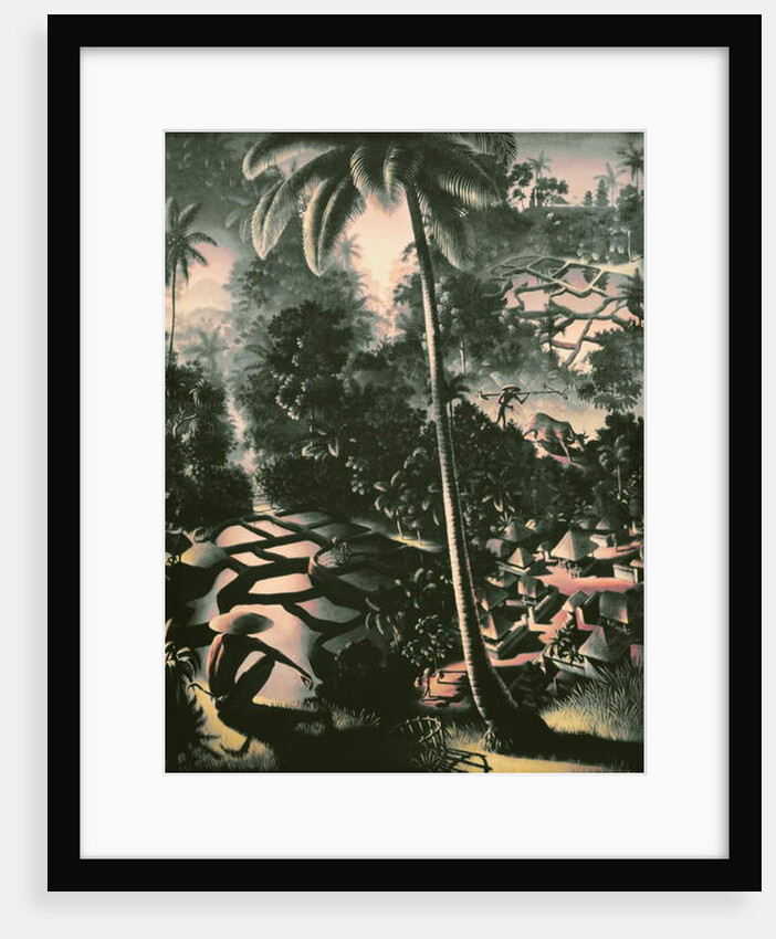 A view from above, 1934 by Walter Spies