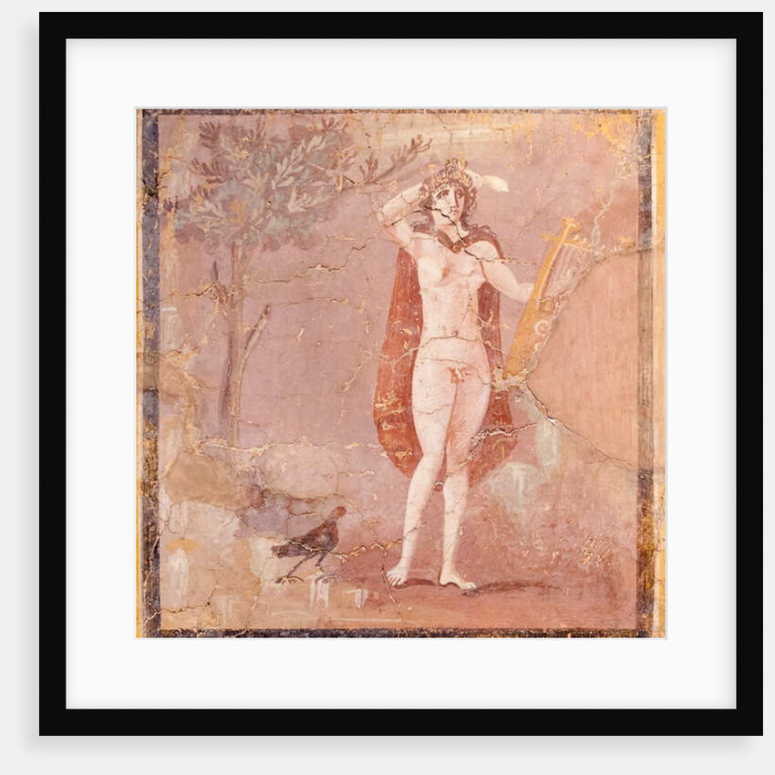 Hermaphroditus, fragment by Roman