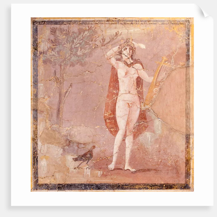 Hermaphroditus, fragment by Roman