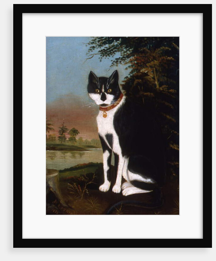 Minnie from the Outskirts of Village, 1876 by R.P. Thrall