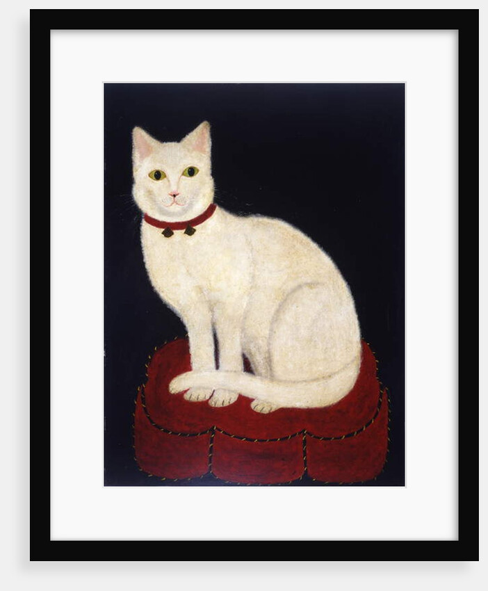 Tinkle, a Cat, 1883 by American School