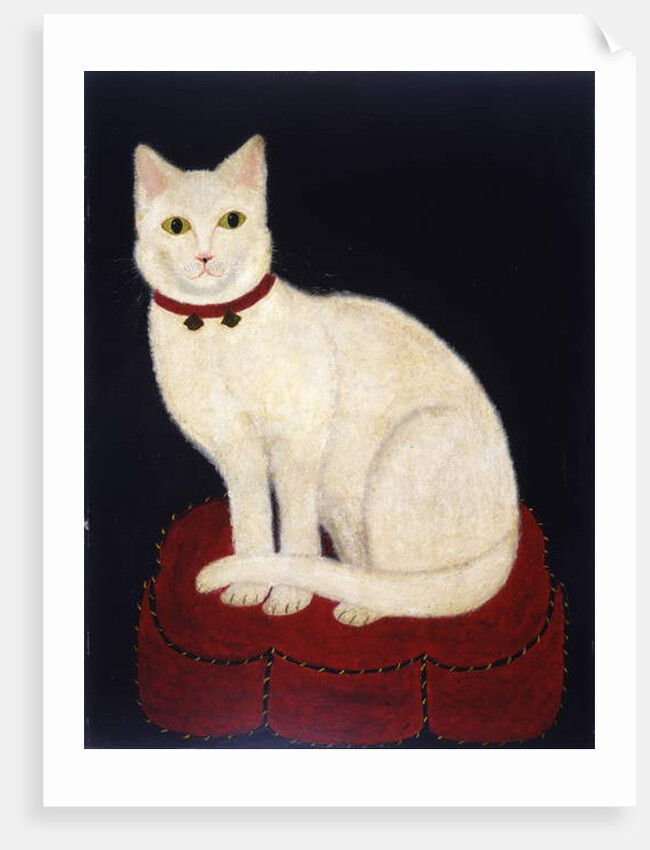 Tinkle, a Cat, 1883 by American School