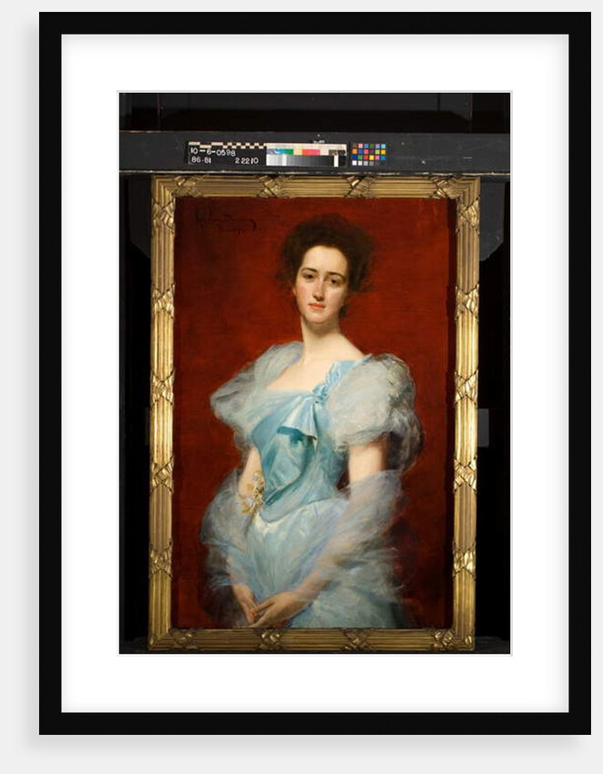 Emily Vanderbilt Sloane Hammond, 1894 by Charles Emile Auguste Carolus-Duran