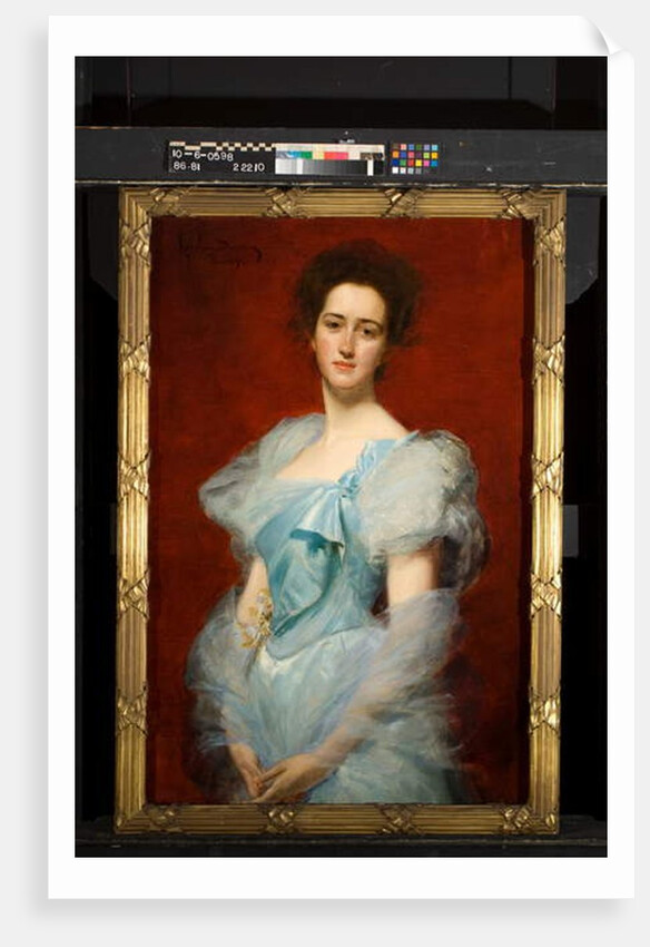 Emily Vanderbilt Sloane Hammond, 1894 by Charles Emile Auguste Carolus-Duran