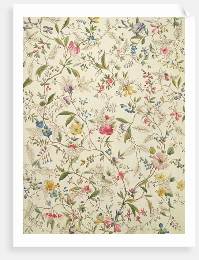 Wild flowers design for silk material, c.1790 by William Kilburn