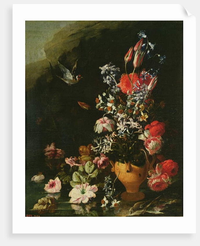 Still Life of Flowers by Paolo Porpora