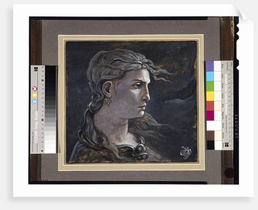 Head of Medusa, 1878 by Elihu Vedder