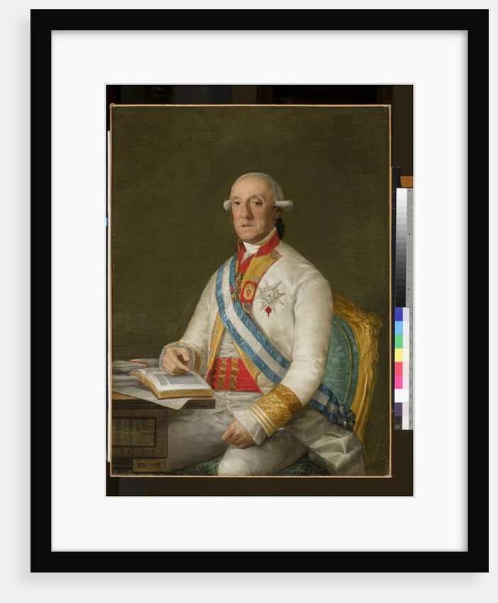 Vicente Maria de Vera de Aragon, Duque de la Roca, c.1795 by Francisco Jose de Goya y Lucientes