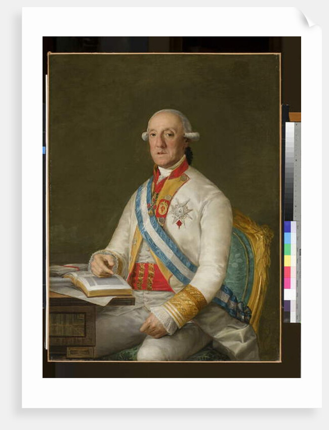 Vicente Maria de Vera de Aragon, Duque de la Roca, c.1795 by Francisco Jose de Goya y Lucientes