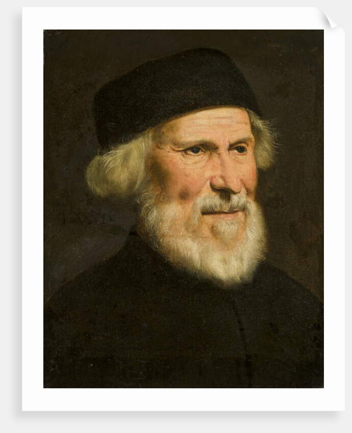 Portrait of a Venetian, c.1550 by Jacopo Robusti Tintoretto