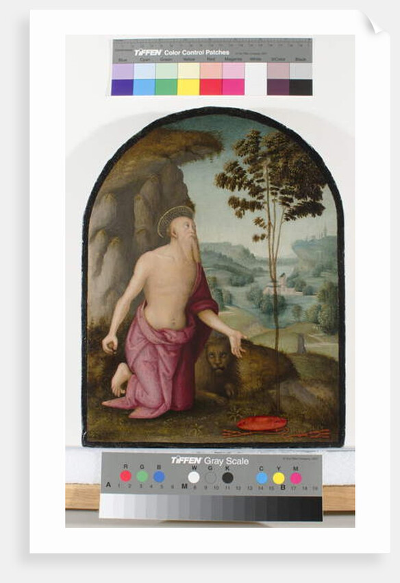 Saint Jerome in the Wilderness, c.1510-15 by Pietro Perugino