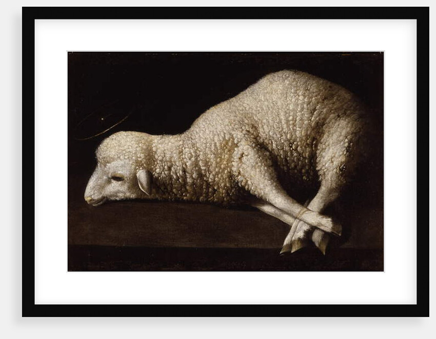 Agnus Dei, c.1635-40 by Francisco de Zurbaran