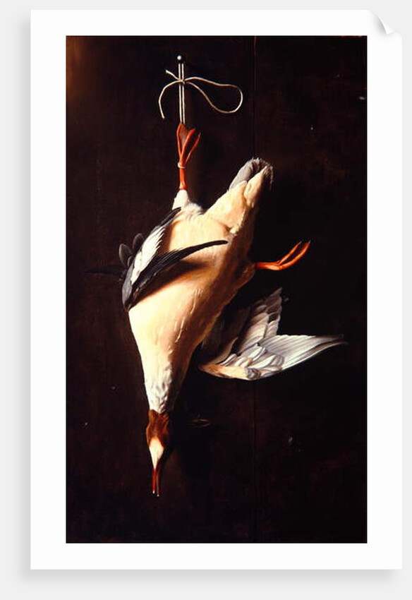 Merganser, 1883 by William Michael Harnett