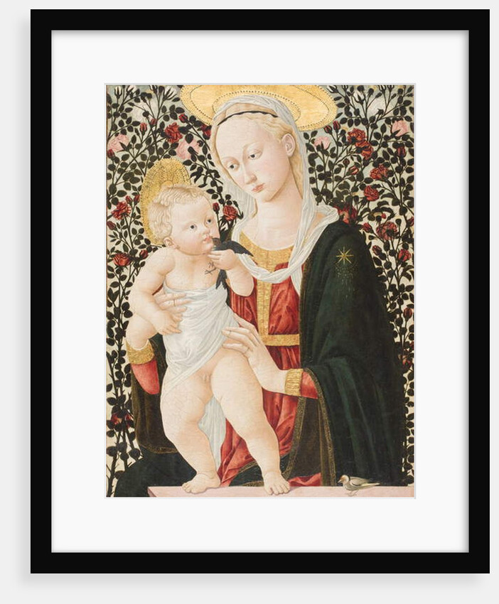 Madonna of the Roses, c.1485-90 by Pseudo Pier Francesco Fiorentino