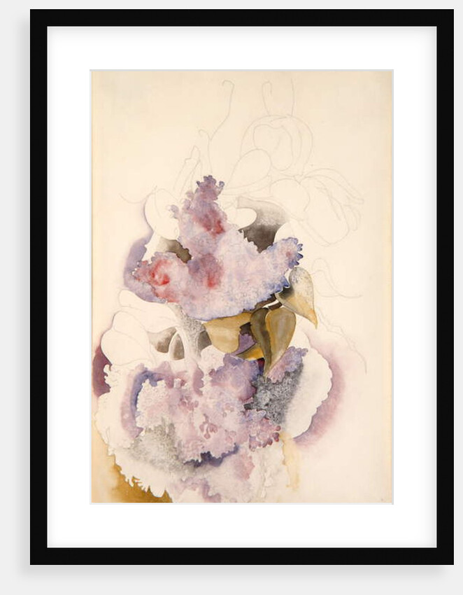 Lilacs, c.1917 by Charles Demuth