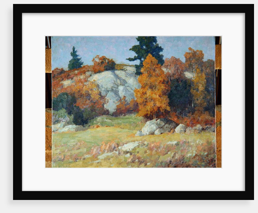 Rock Ledge in Autumn, c.1929 by Maurice Braun