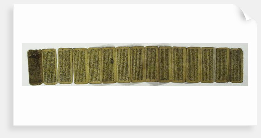 A concertina manuscript by Nepalese School