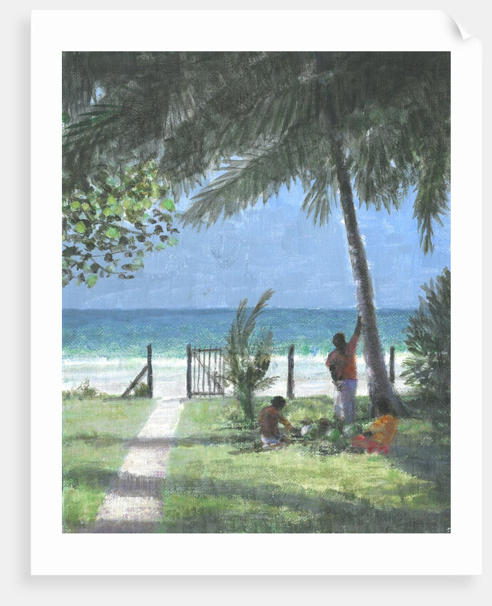 Coconut Man Calls, Sri Lanka, 2015 by Lincoln Seligman