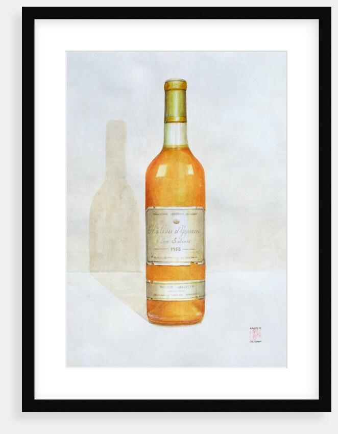 Chateau d'Yquem, 2003 by Lincoln Seligman