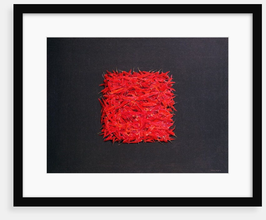 Chillies by Lincoln Seligman