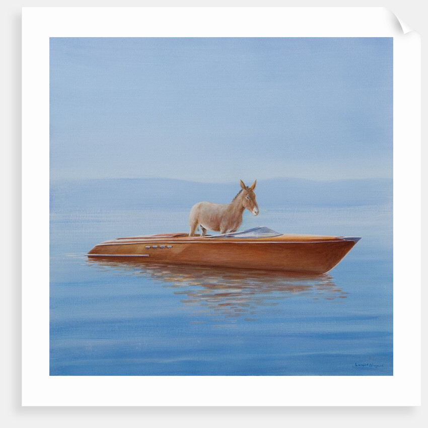 Donkey in a Riva, 2010 by Lincoln Seligman