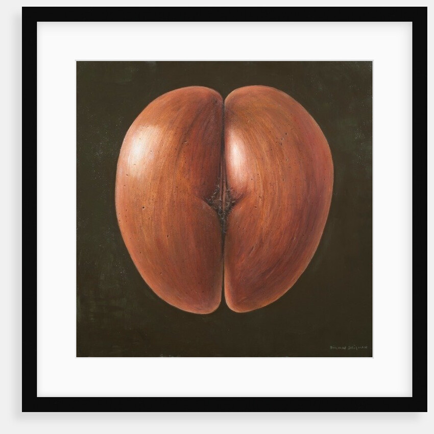 Coco de Mer, Maldives, 2012 by Lincoln Seligman