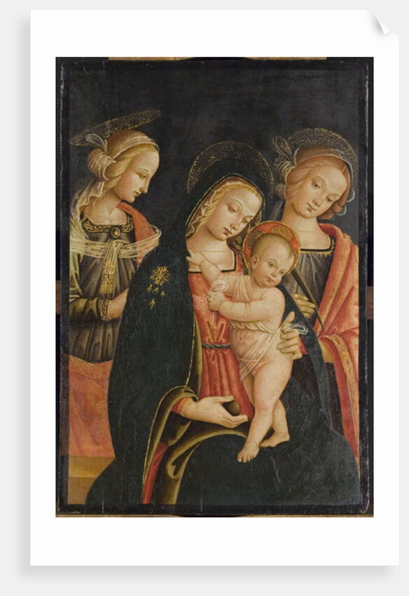 The Madonna and Child with Two Female Saints, c.1500 by Master of the Cortona Tondo