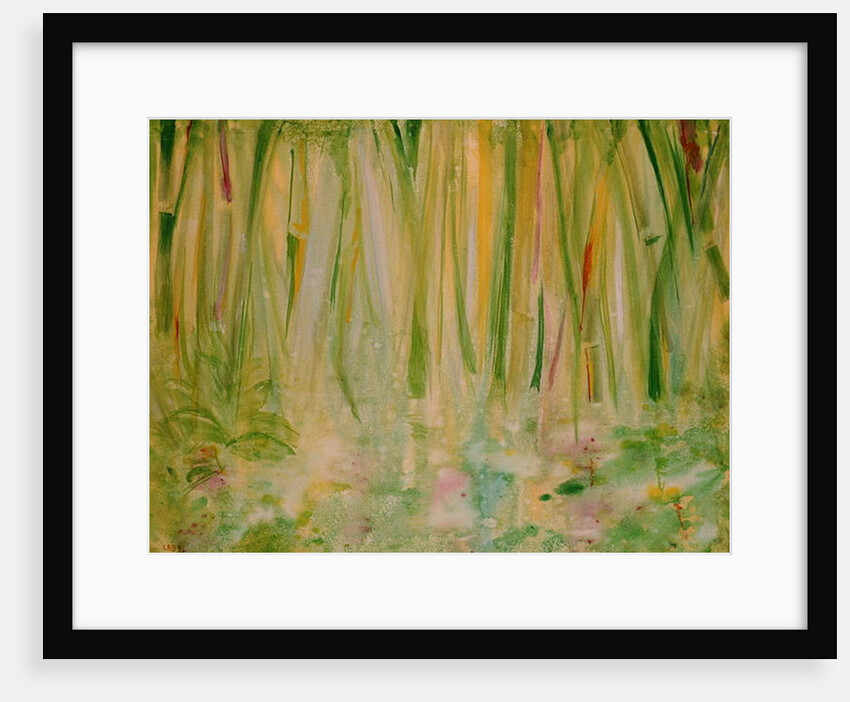 Impression of the Rain Forest, 1991 by Laila Shawa