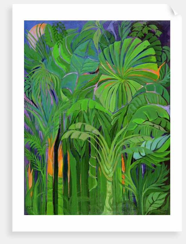 Rain Forest, Malaysia, 1990 by Laila Shawa