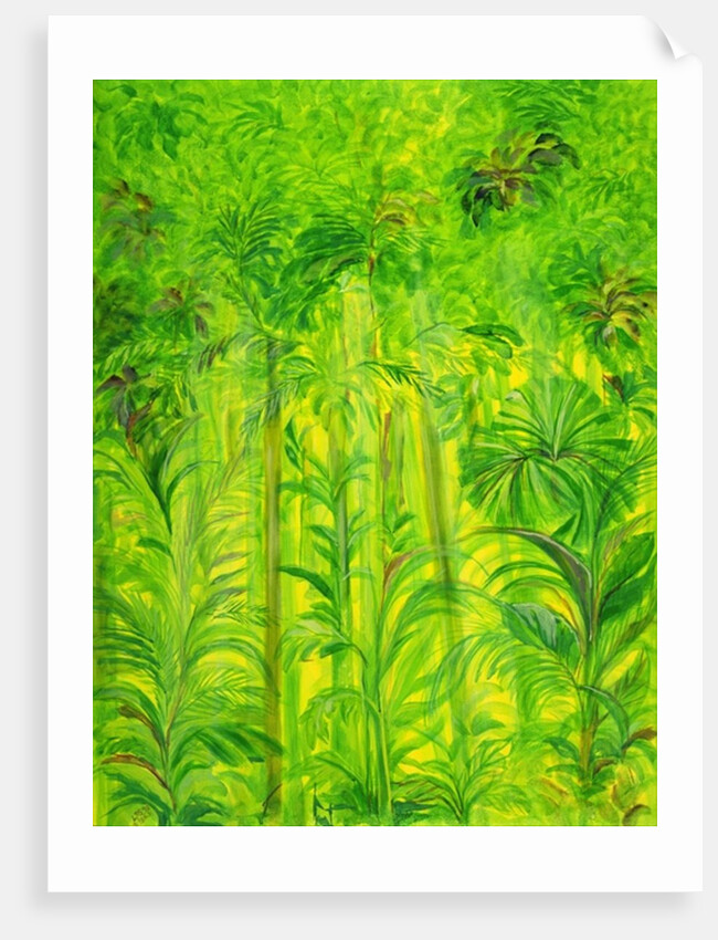 Rain Forest, Malaysia, 1990 by Laila Shawa