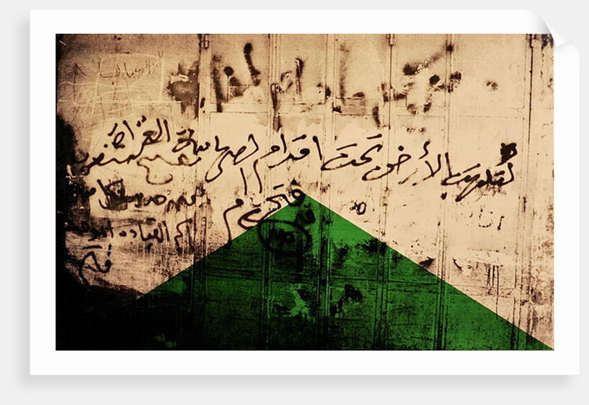 Flag I, 1992 by Laila Shawa