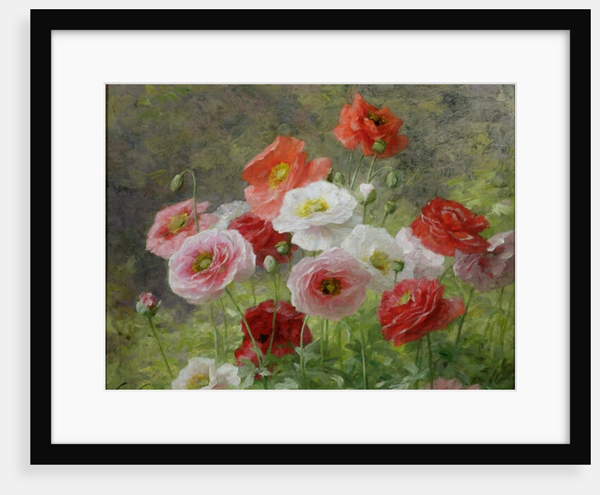 Cluster of Poppies, 1884 by Louis Marie Lemaire