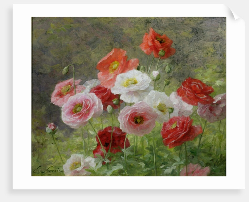 Cluster of Poppies, 1884 by Louis Marie Lemaire