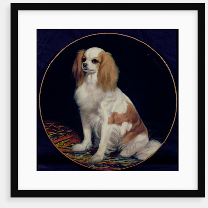 King Charles Spaniel by Charles Emile Callande de Champmartin