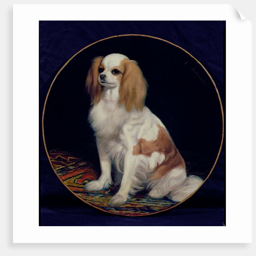 King Charles Spaniel by Charles Emile Callande de Champmartin