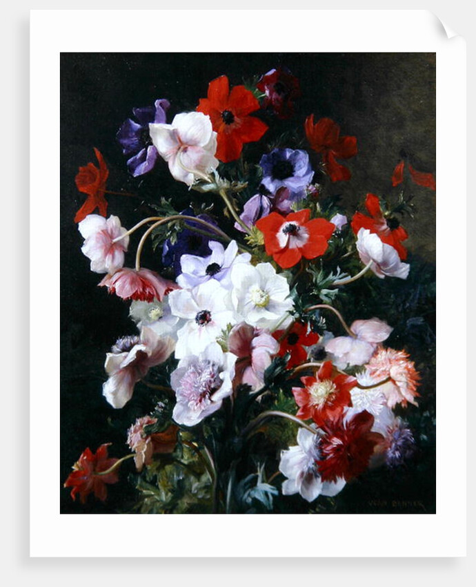 Still Life of Flowers by Jean Benner