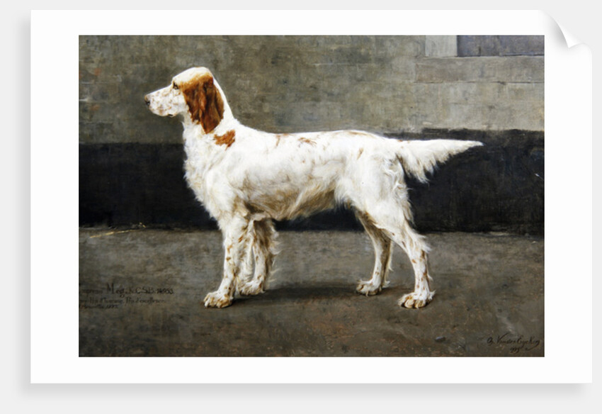 Empress Meg, KCSB, 14953, 1885 by Charles van den Eycken