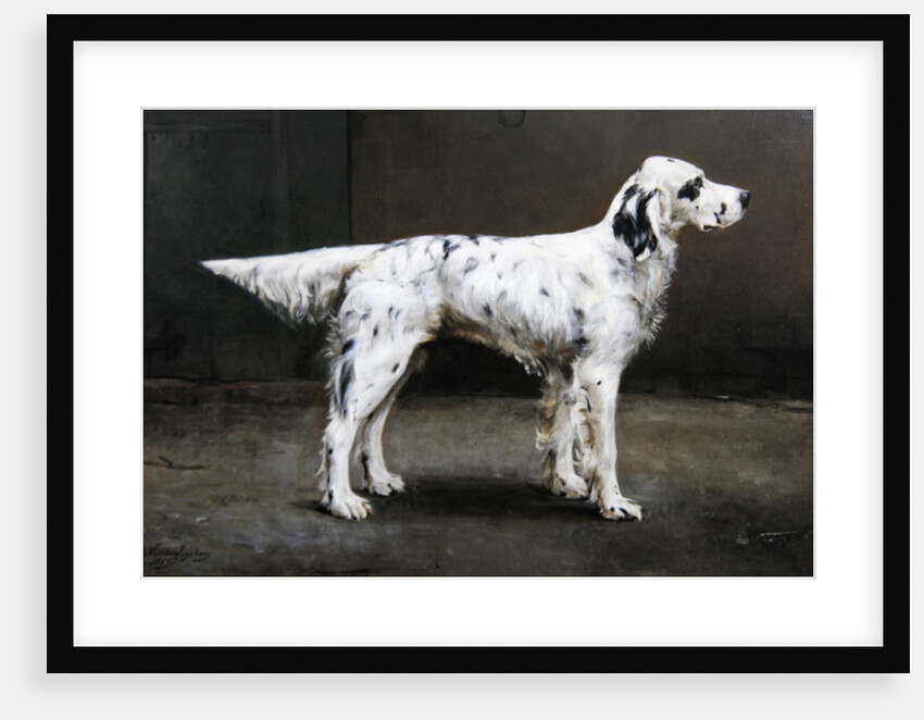 Portrait of a dog, 1885 by Charles van den Eycken