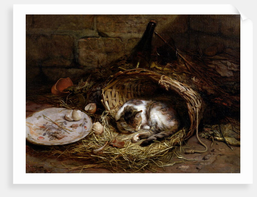 The Afternoon Nap by Jules Gasson