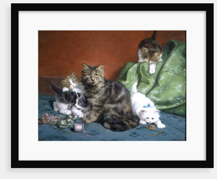 Playful Kittens by Daniel Merlin