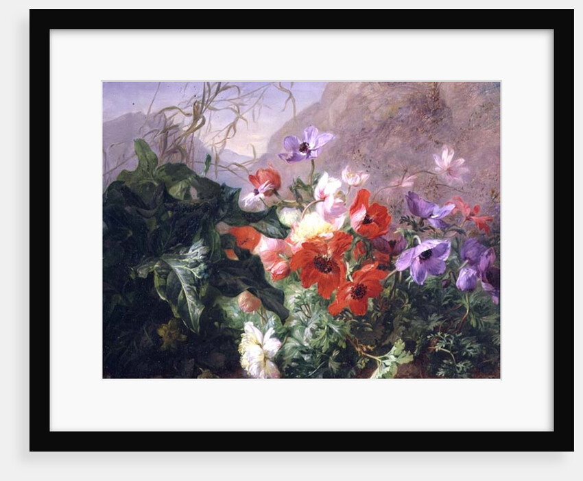 Still Life of Anemones in Undergrowth by Elise Puyroche-Wagner