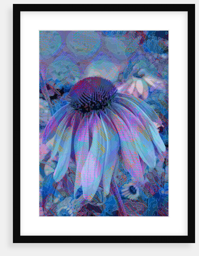 Cone Flower, 2015 by Scott J. Davis