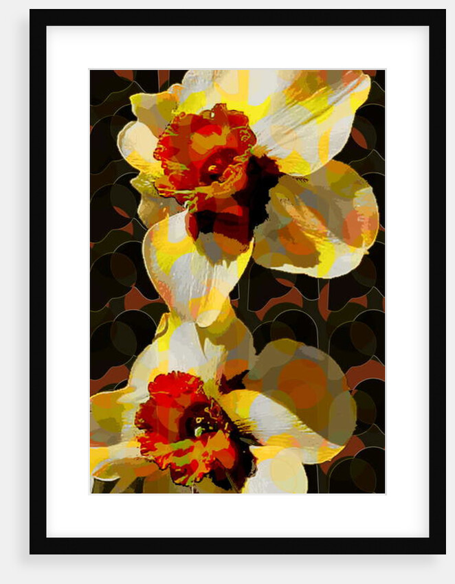 Daffodil, 2010 by Scott J. Davis