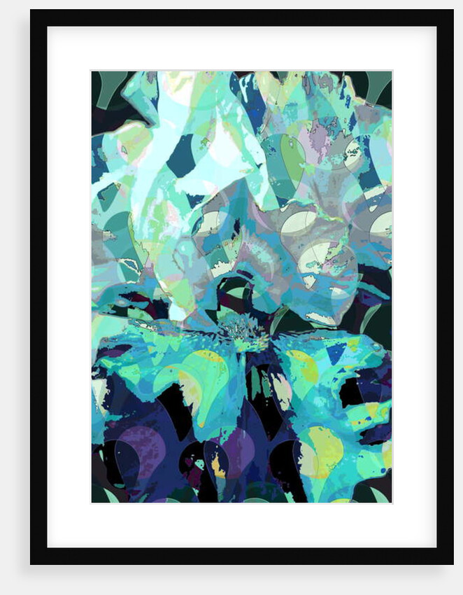 Iris, 2010 by Scott J. Davis