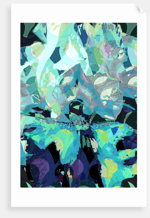 Iris, 2010 by Scott J. Davis