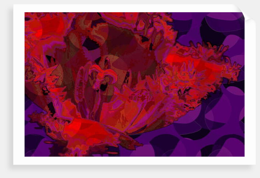 Red Tulip, 2010 by Scott J. Davis