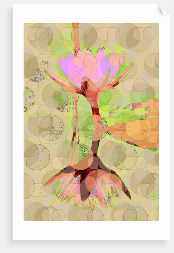 Water Lily Reflection, 2010 by Scott J. Davis