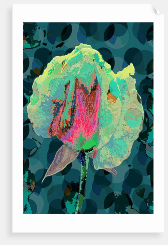 Tea Rose 4, 2010 by Scott J. Davis