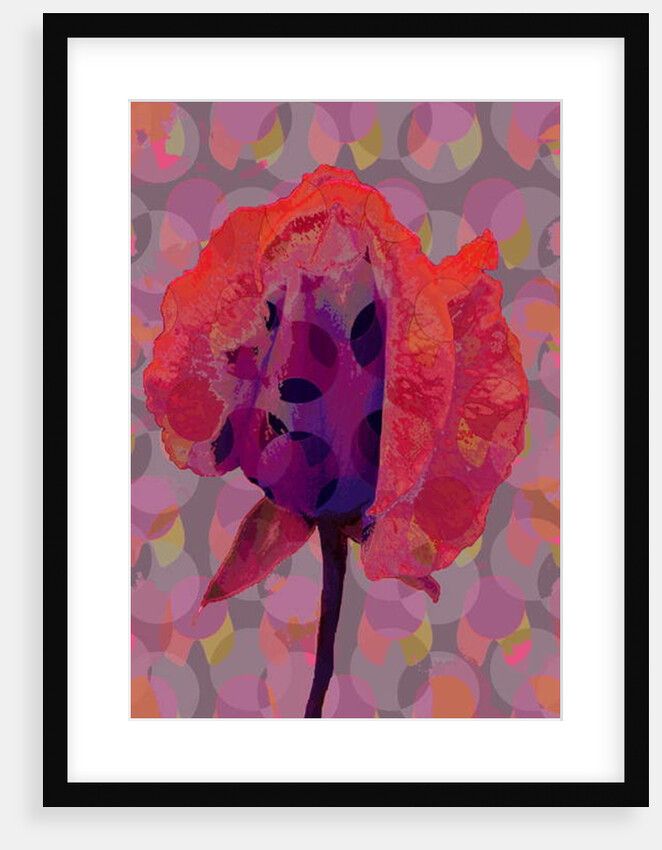 Tea Rose 3, 2010 by Scott J. Davis